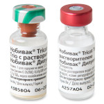 Nabivak tricat