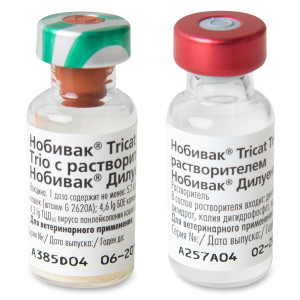 Nabivak tricat