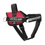 Collar 07133