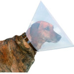 BEEZTEES Protection 31x38x15 0796003