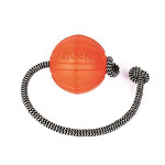 COLLAR 6297