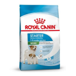 Royal Canin Mini Starter Dog 16kq 253640
