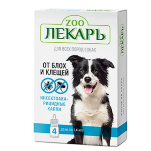 Lekar kapli it