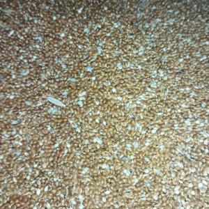 Dari 40kq