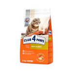 Club 4 Pisik Krolik Ceki
