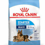 Royal Canin Maxi Starter Ceki