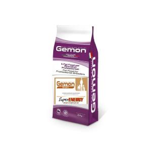 Gemon Super Energi Ceki