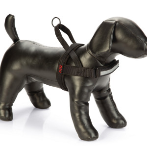 Beeztees dog gear 747190