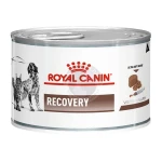 Royal Canin Recovery 195q 234170