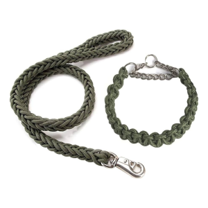 Pavadok Toxuma Dest Z