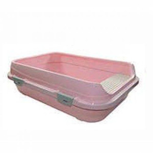 Kedi tuvaleti acik kardelen