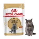 Royal Canin British Shorthair Adult 85q 240810